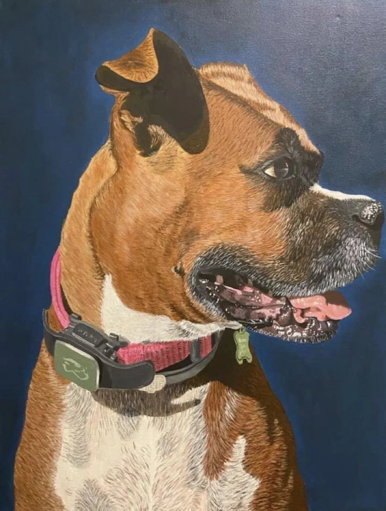 Clover Blues Pet Portraits in Palatka, FL